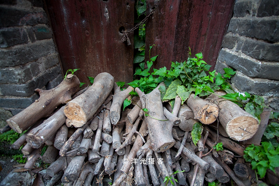 有人说榕树容财不容人是什么意思,榕树不容人的迷信说法