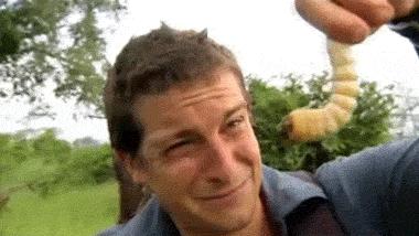 最好的蛋白粉,最好蛋粉