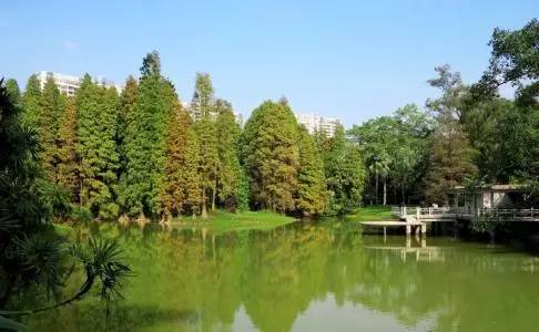 广州游玩攻略一天排行榜,广州免费景点大全排名榜