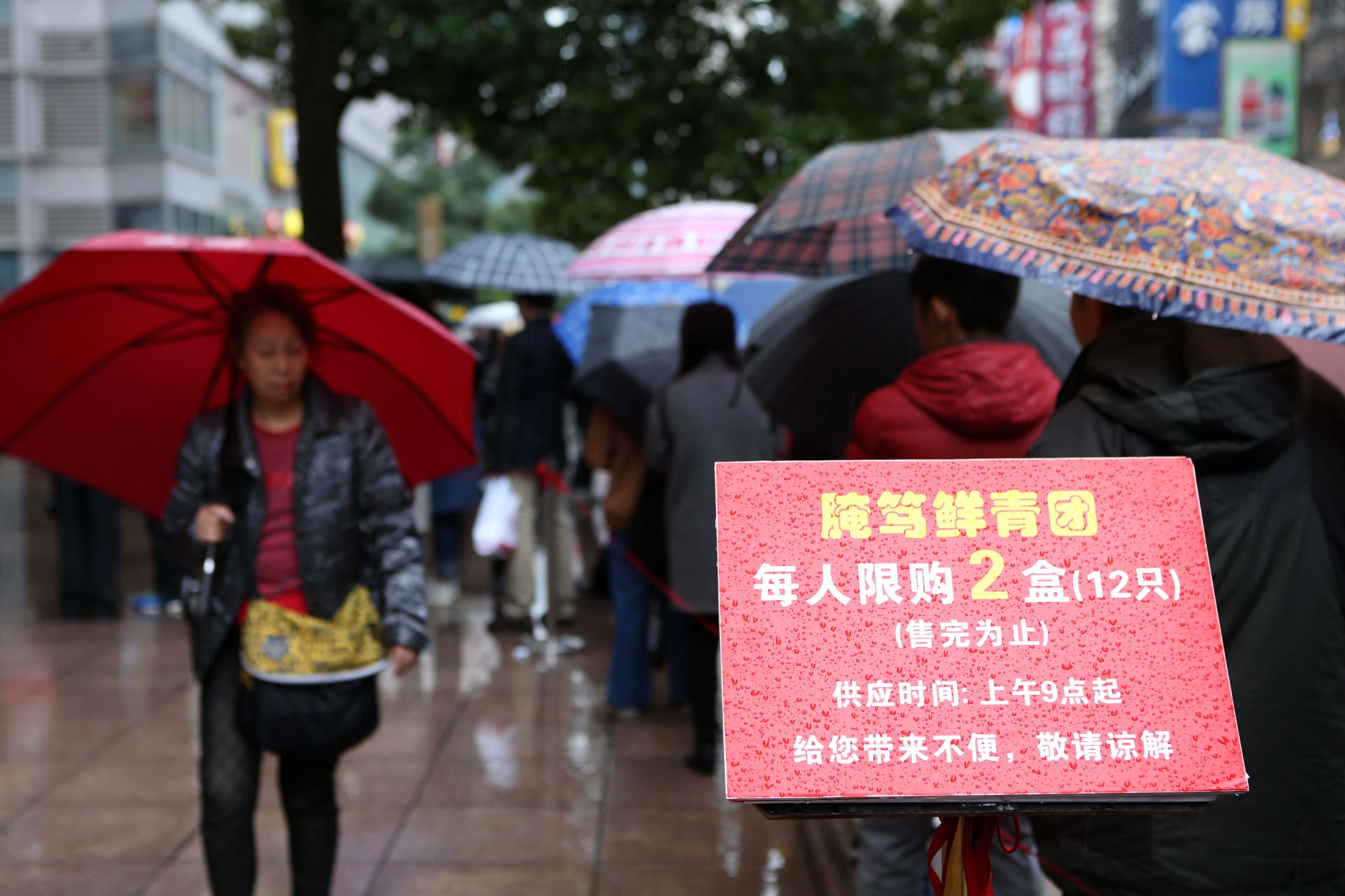 上海正宗腌笃鲜,上海青团直播现卖