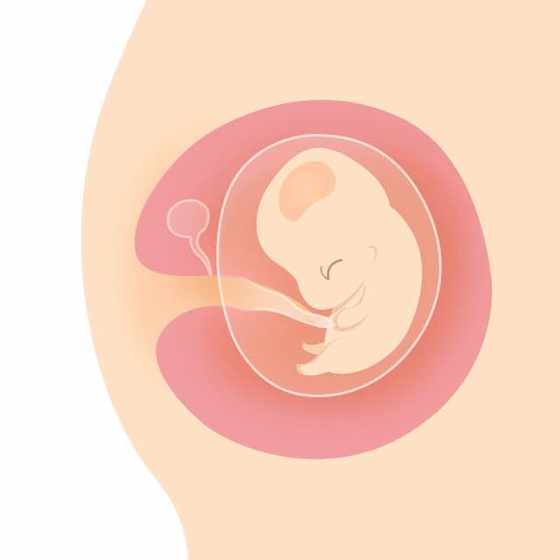 一对百合妈妈的幸福育儿经历,也许你不用嫁给男人!