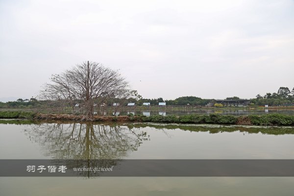 居于涟岸隐于湖,到肇庆体验离尘不离城的精致慢生活