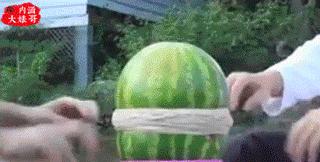 这位姐姐你真丑日语,这位姐姐你说的太对啦