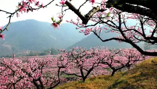 浙江全域旅游发展规划,浙江41个景区免费