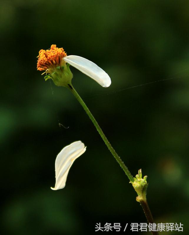 冷水洗头对身体有什么伤害？