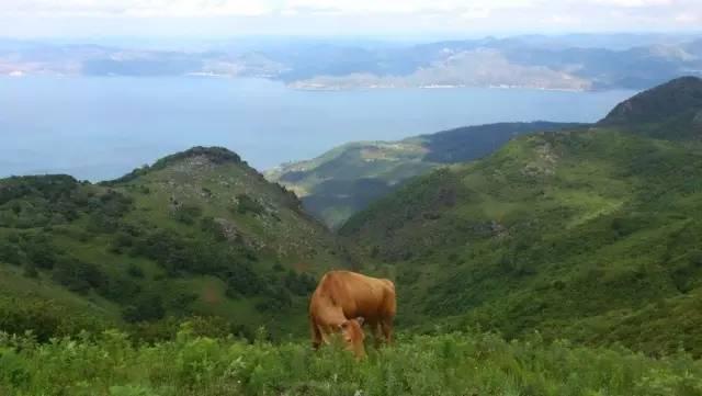 昆明十峰梁王山登山详细攻略,昆明十峰大尖山