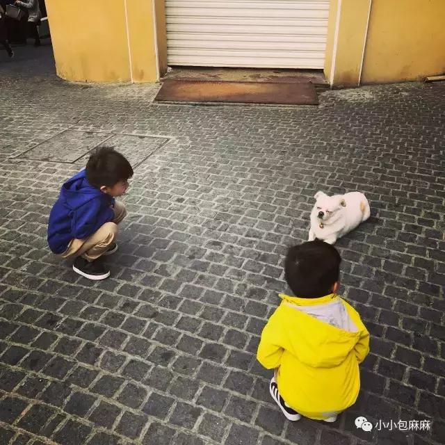 沈阳到厦门亲子游攻略,厦门亲子游三天两晚多少钱合适