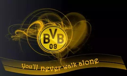 多特蒙德队徽带狮子图案的壁纸,多特蒙德壁纸高清全面屏