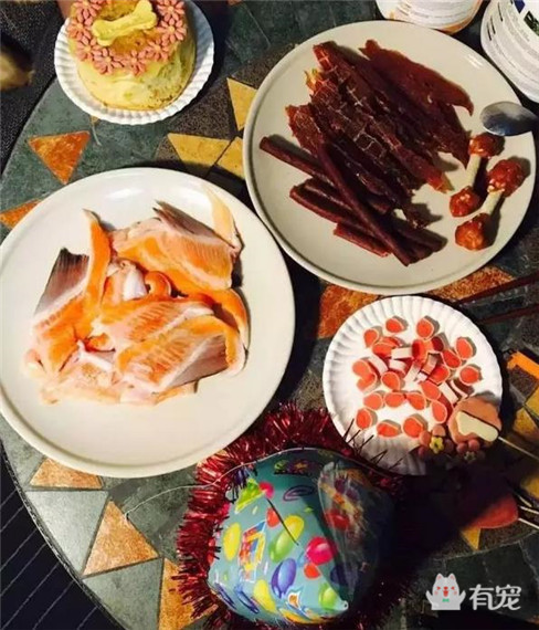 大金毛过生日被美女左拥右抱,铲屎的你可以关灯了!