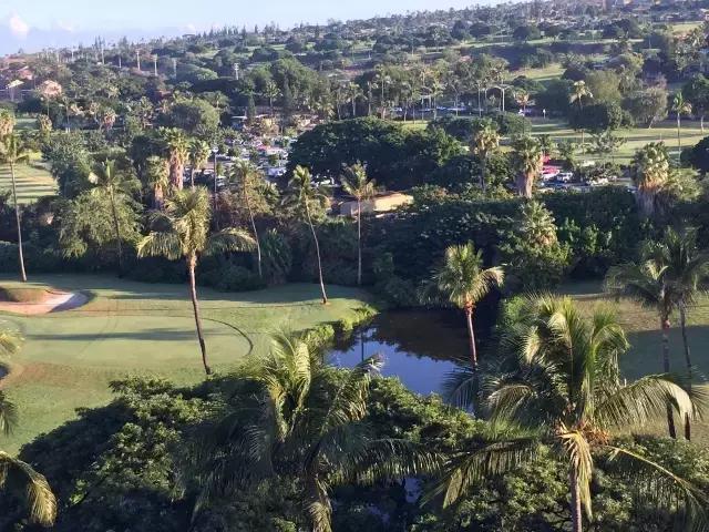 夏威夷毛伊岛旅行记 (毛伊岛旅游必做的100件事)