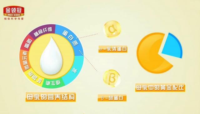 金领冠奶粉的营养,金领冠奶粉怎么样适合新生儿吗