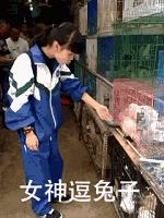 开心笑话2016,开心笑话