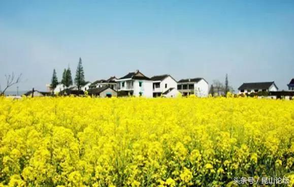 厉害了昆山陆家,厉害了江苏