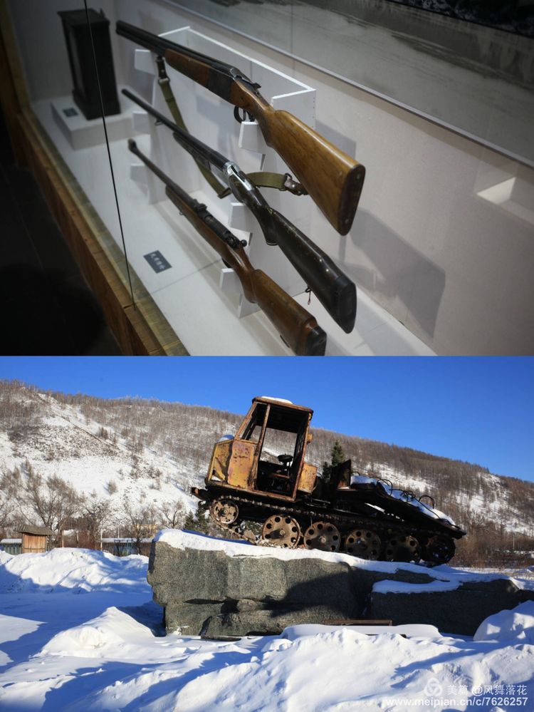 白狐千年等待只为今生相遇,白狼一生只爱一人