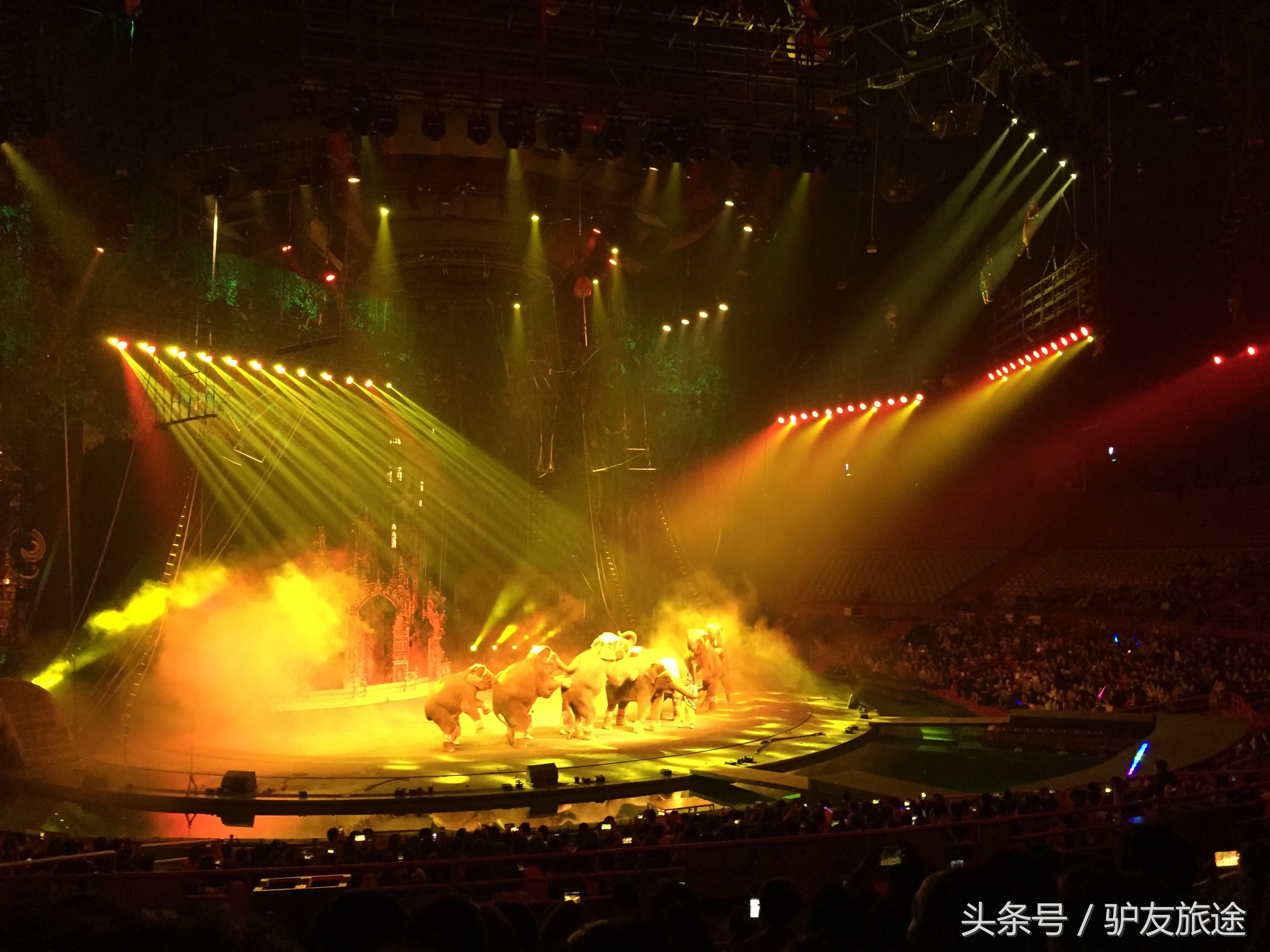 广州长隆亲子游旅行攻略,广州长隆4园2天1夜亲子游攻略