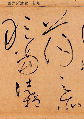 书中五要之三：养