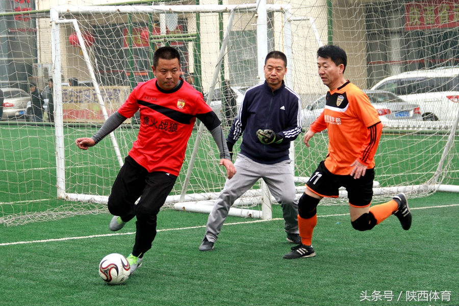 植树节种下一棵树守护一方水土,2020的植树节在心里种下一棵树