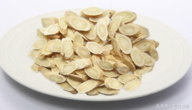 关于养殖添加剂,中草药饲料添加剂是预混料吗