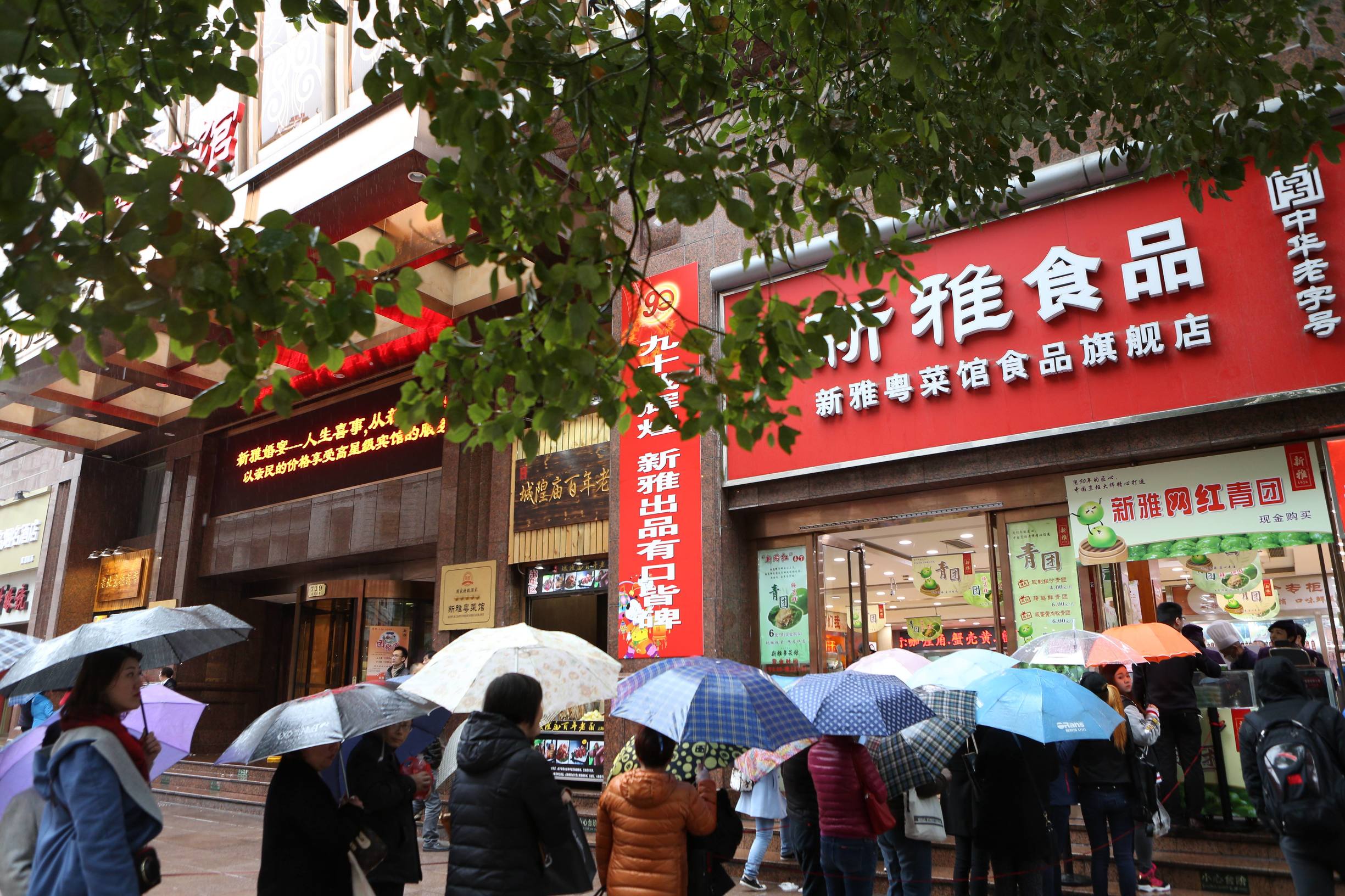 上海正宗腌笃鲜,上海青团直播现卖