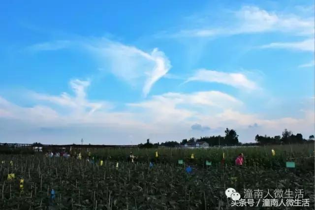 潼南附近的城市好玩的地方,潼南是不是个好地方