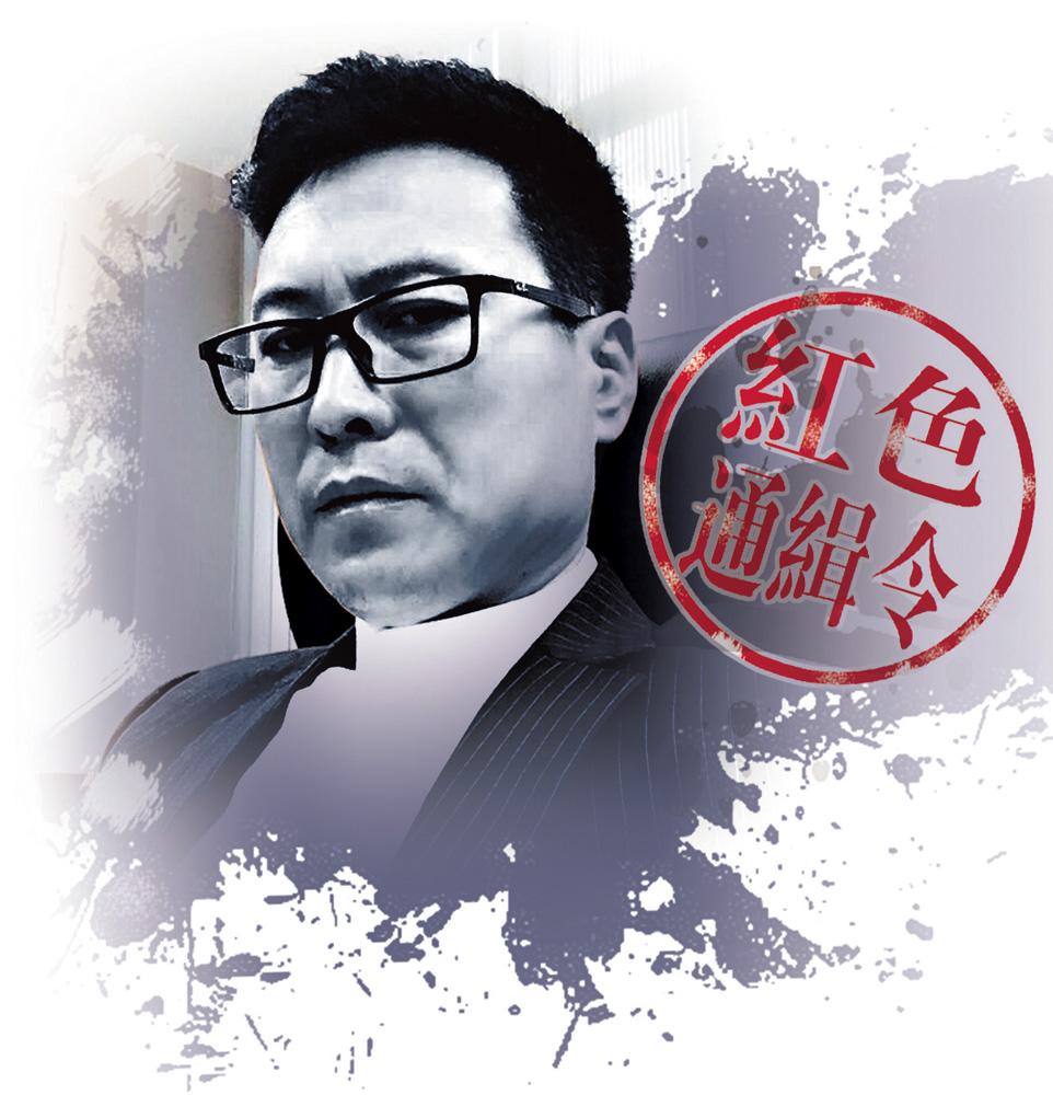 天地汇诈骗案最新,天地汇非法集资案例