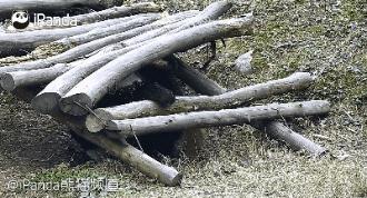 广场舞大妈跳舞把音响给砸了,大妈跳广场舞扰民音响被秀砸