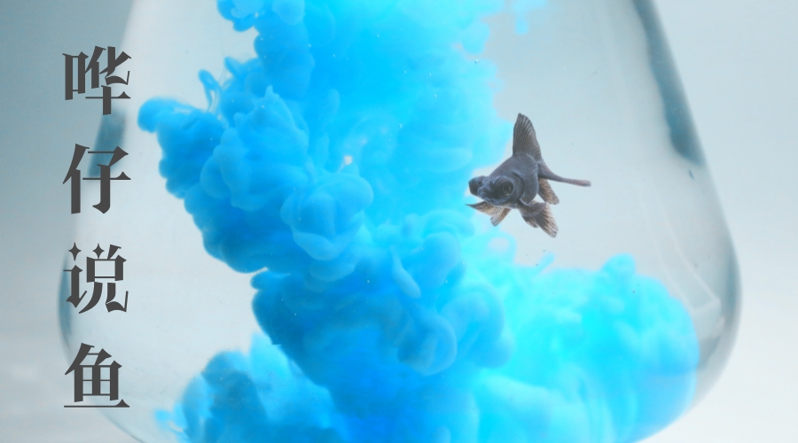 养鱼三戒,新手养鱼小白必看的七条养鱼知识