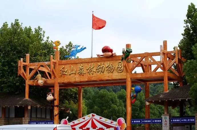 南京春天适合孩子玩的地方,南京情侣适合玩的地方旅游攻略