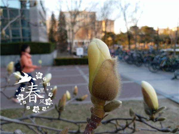 三星c7pro拍照,三星c9pro拍照效果怎么样