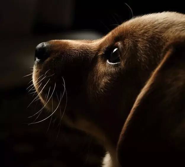 人力资源行业的困境,人力资源行业如何破局