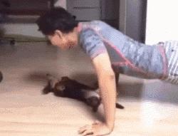 陪伴我十二年的狗狗也渐渐老去,狗狗渐渐老去