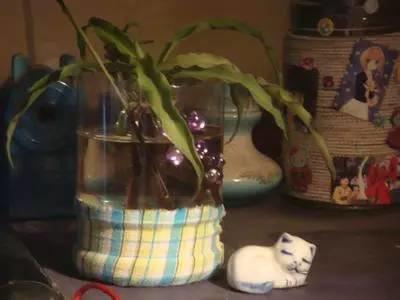 如何用塑料瓶做花盆图解,怎么用塑料瓶做花盆图解