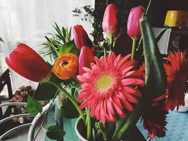 我们用1000元的教训告诉你:包月鲜花全是坑!一家都不推荐!