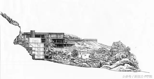 富二代、终身未婚、同性恋……这位混血锡兰人是“斯里兰卡之光”