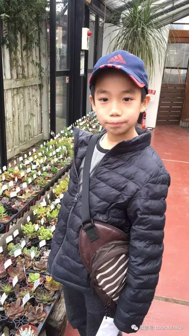 日本最好的多肉大棚,走进日本北海道