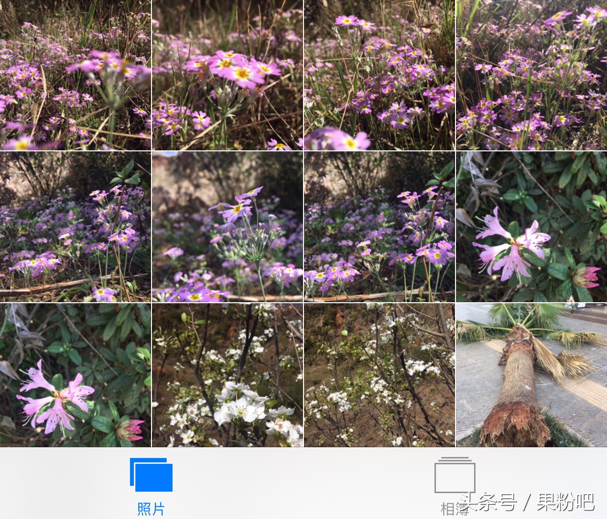 照片导入iphone最简单好用的方法,iphone怎么导入以前手机的照片