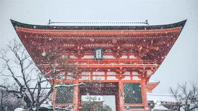 拉面 · 自动贩售机 · 雪｜云之彼岸的日本欢脱之旅