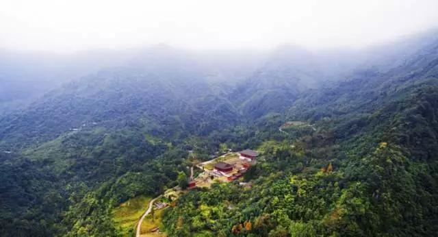 成都周边踏青二日游自驾游,春节成都看花好玩的地方推荐