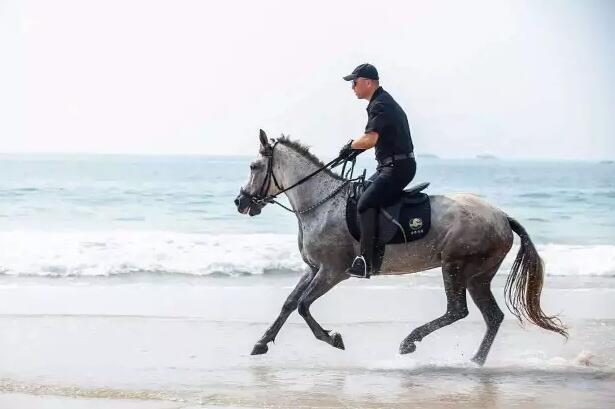 爱琴海旅游攻略,爱琴海旅游自助游攻略