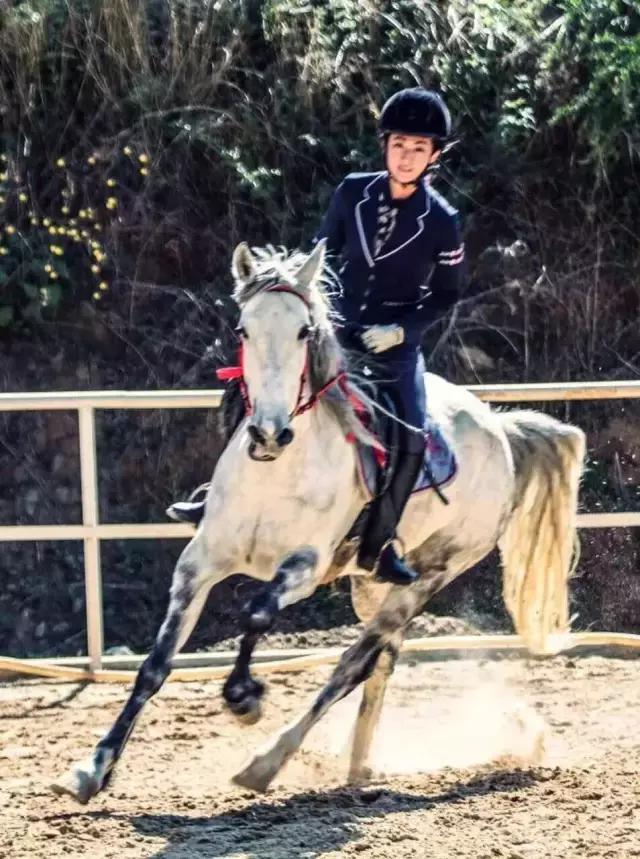 昆明二龙湖御龙马术俱乐部,贵阳市马术俱乐部