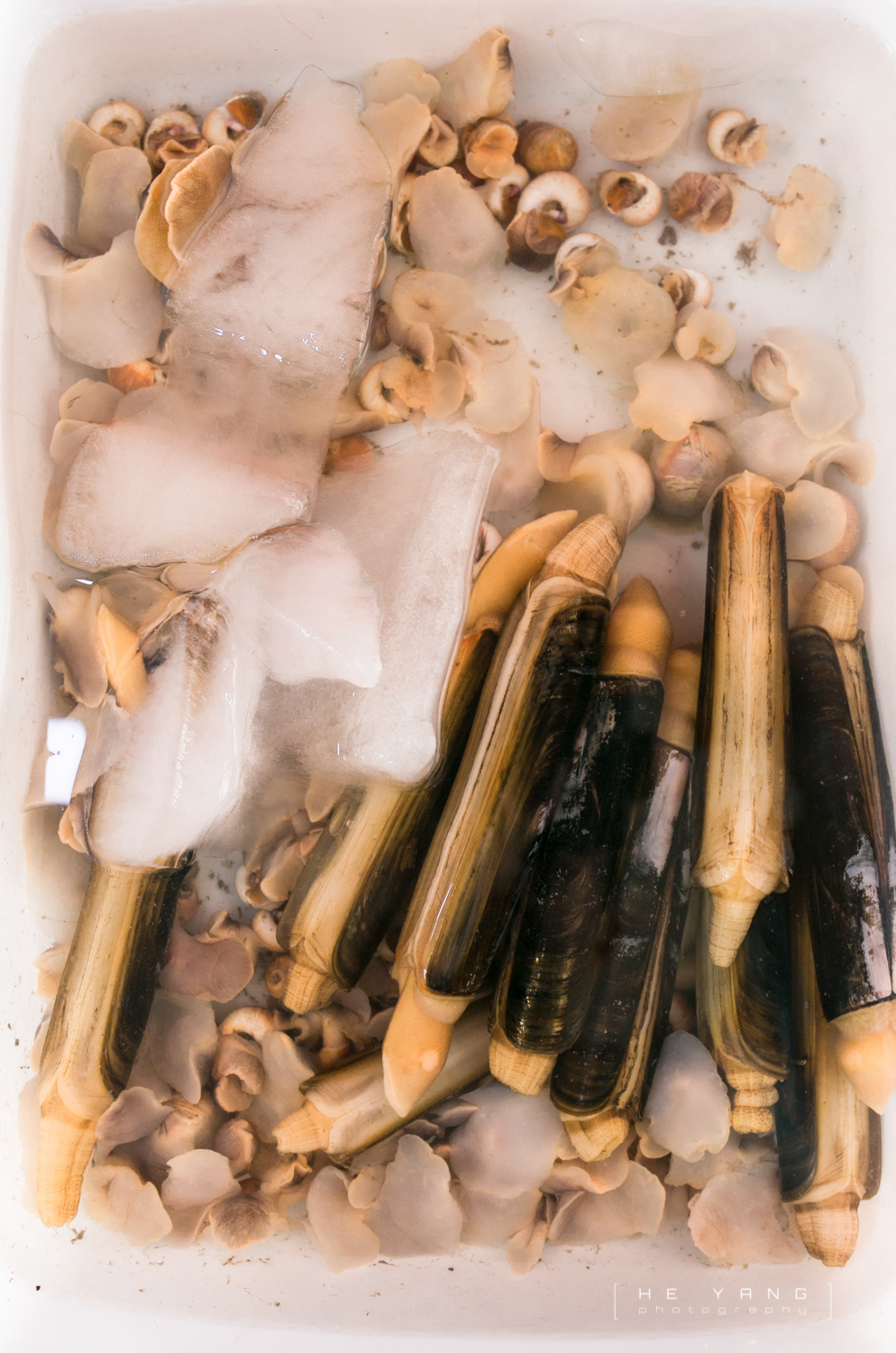 美丽的海滨城市营口鲅鱼圈,营口市鲅鱼圈十年变化