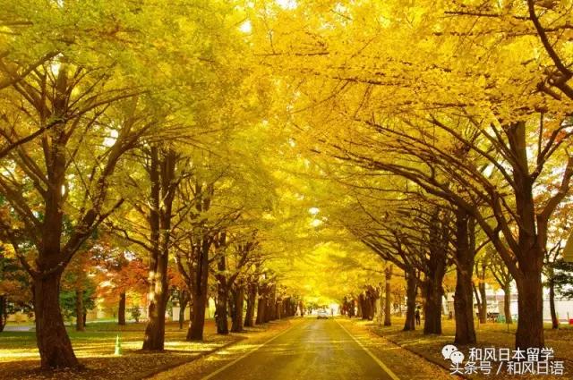 颜值与实力兼备高校,北大为何这么强大