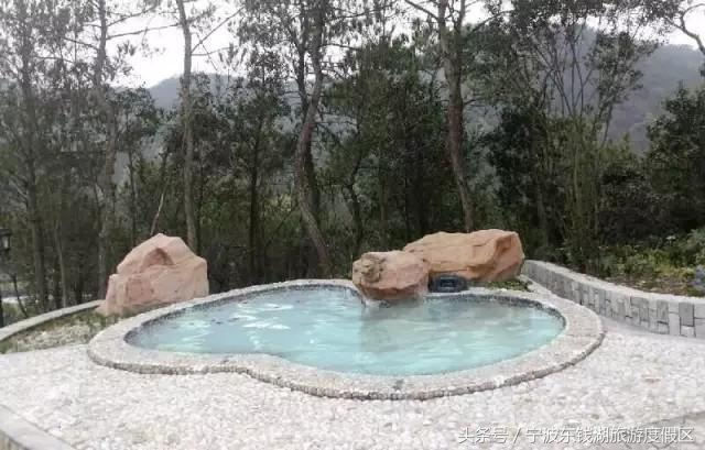 花讯播报泡汤赏花SPA住客房，只在南苑花博园！