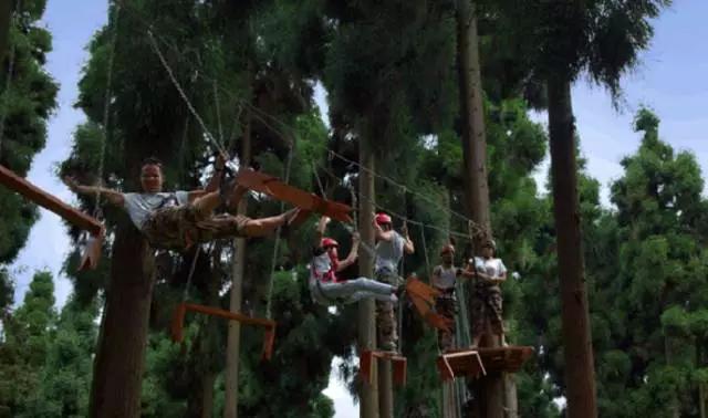 成都周边踏青二日游自驾游,春节成都看花好玩的地方推荐