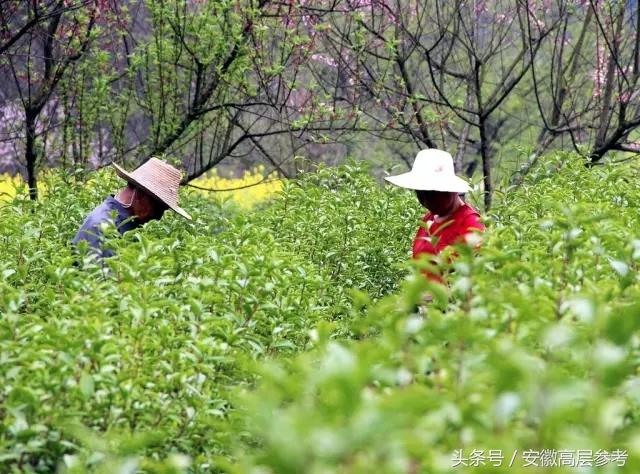 安徽石台有什么特色美食,安徽石台县美食攻略