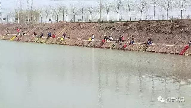 全国钓鱼大赛德州站结果,淮北钓鱼比赛直播