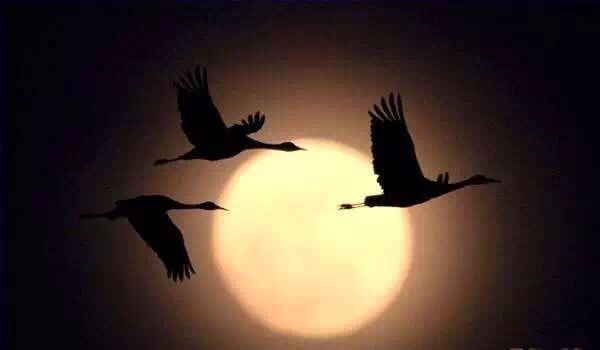 云巅之上一缕微光,云巅之上烟雾缭绕