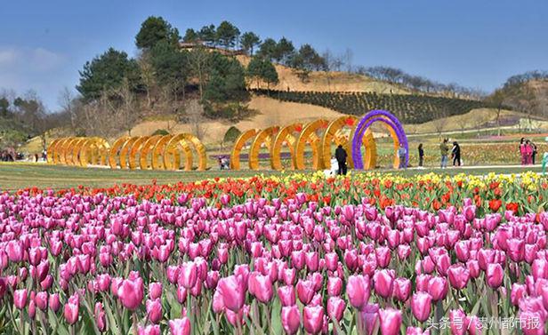 鑽峰叞鑺辨捣鐪嬮儊閲戦,鍘昏嵎鍏扮湅閮侀噾棣欏惂