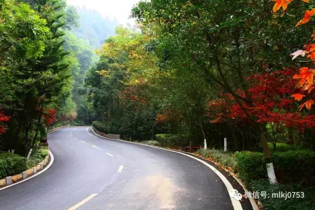 以二十四节气之名，诠释梅州之美