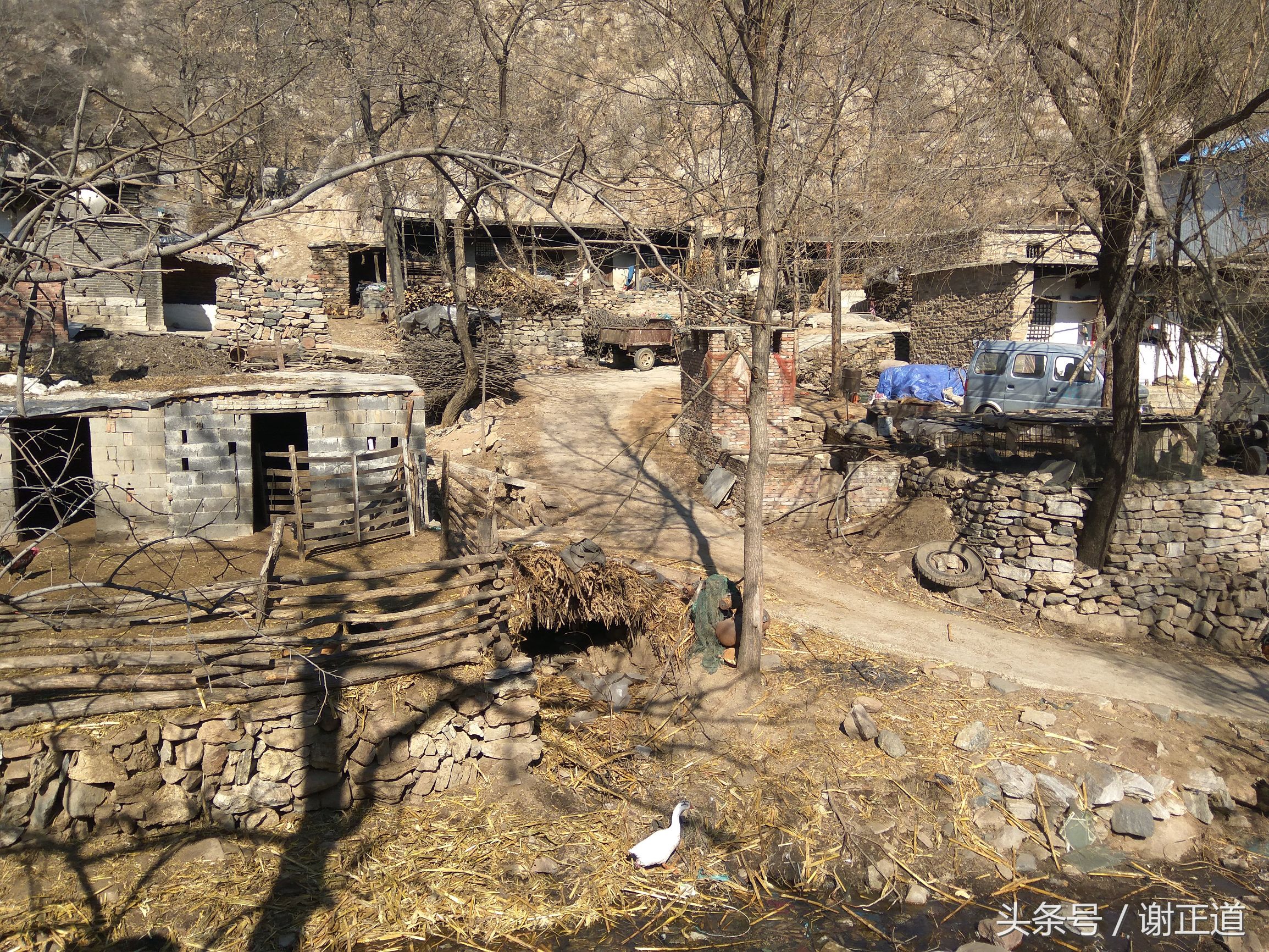 灵寿秋山风景区攻略,灵寿秋山自然风景区电话